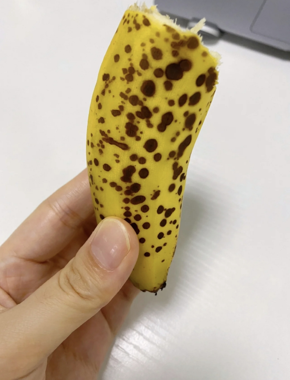 网友:这是什么品种的香蕉呢,黄金豹香蕉还是芝麻香蕉?