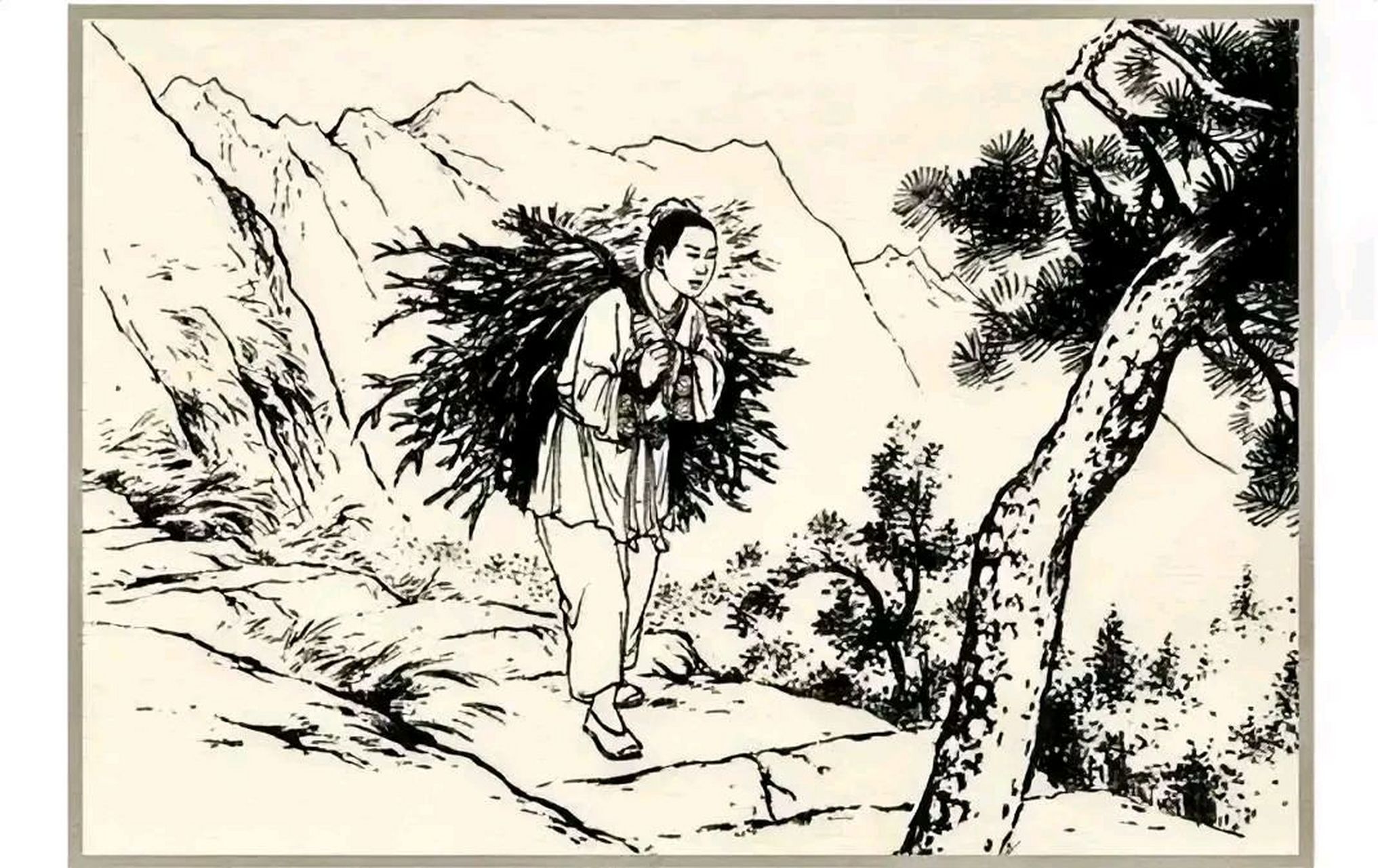 从前,在普陀山下有个樵夫,每天早出晚归地砍柴,可是家里还是常常揭不