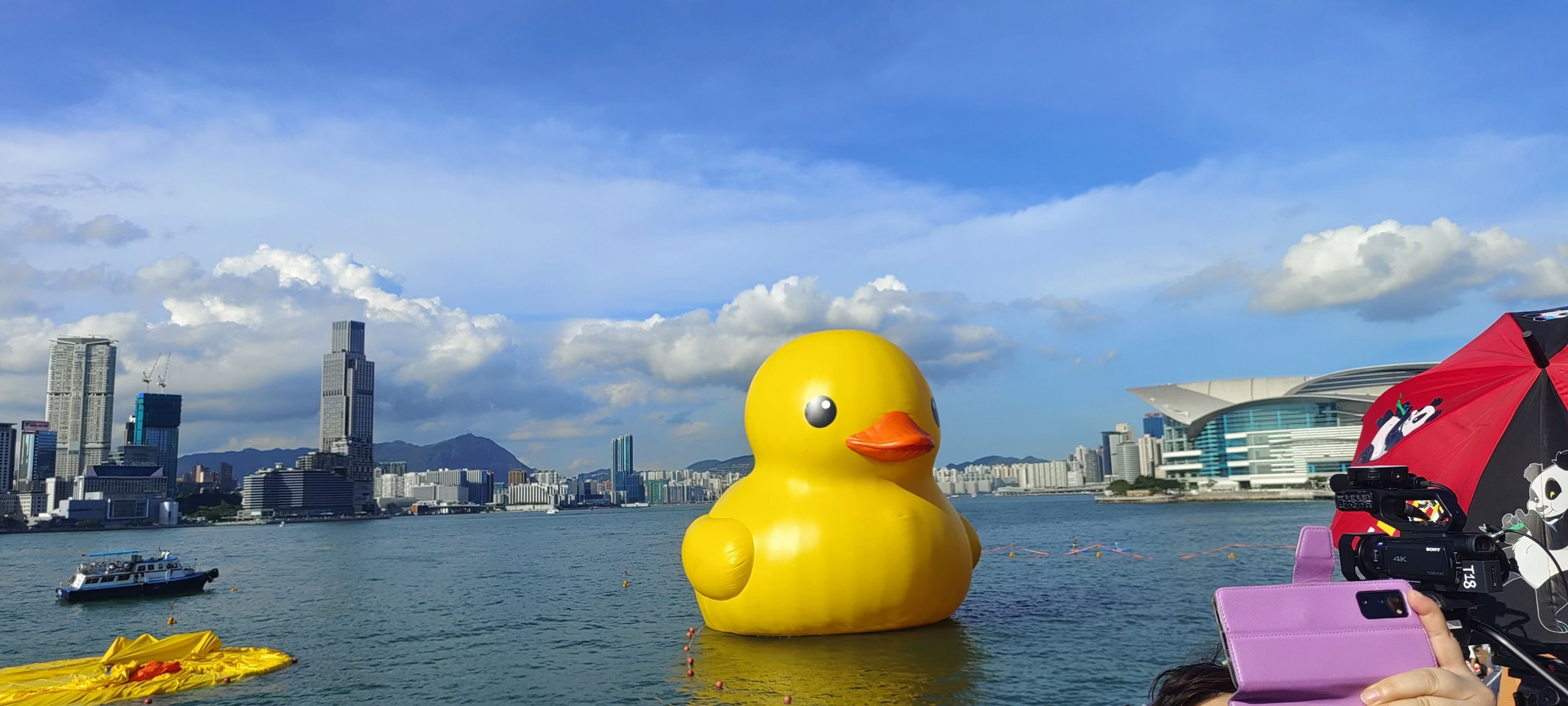香港维多利亚港口的大黄鸭吸粉能力强,小伙伴们纷纷前来打卡拍照,不信