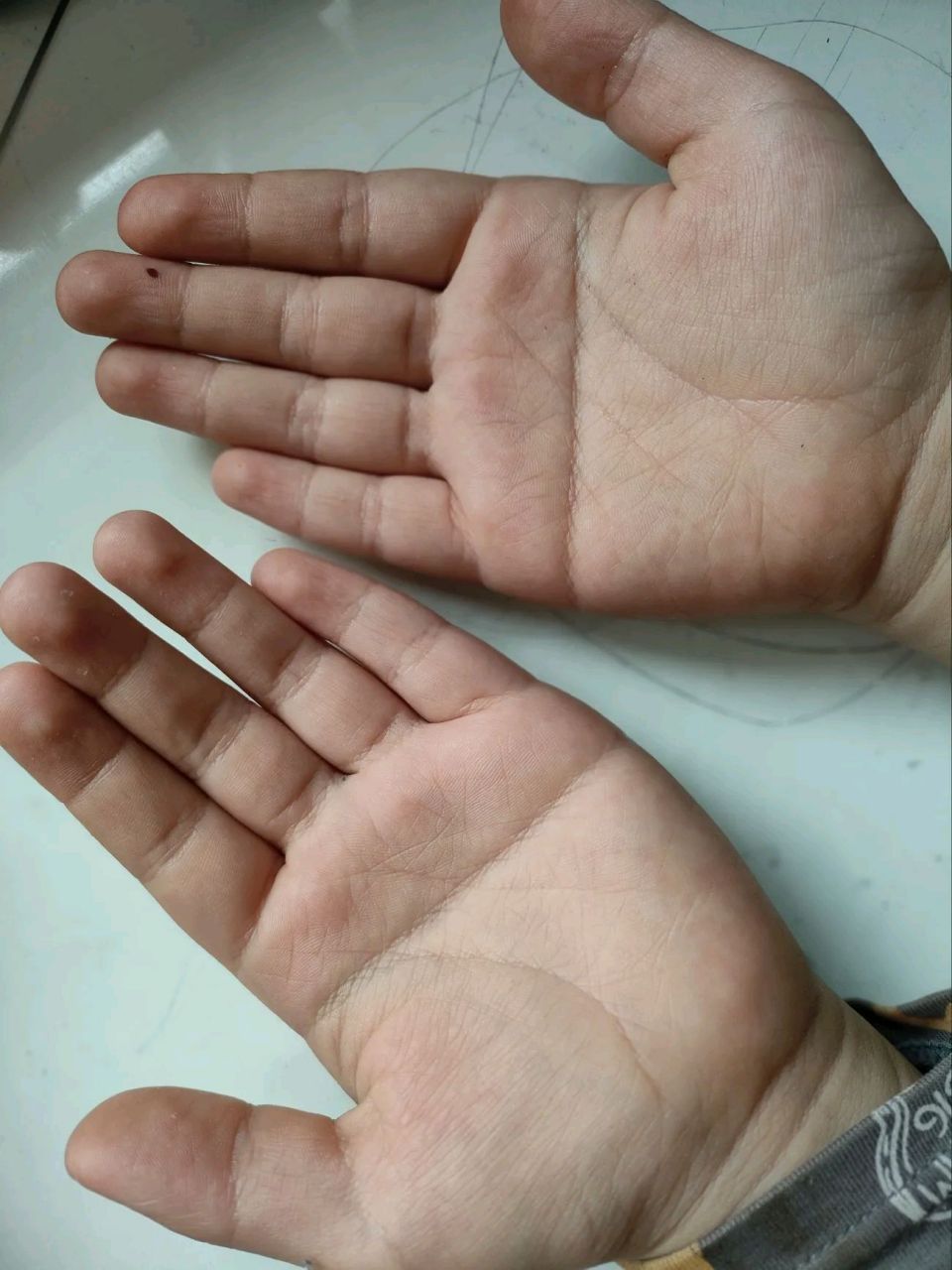 我儿子的两只手是不是都是断掌,小时候就打人特别疼,我就听说断掌打人