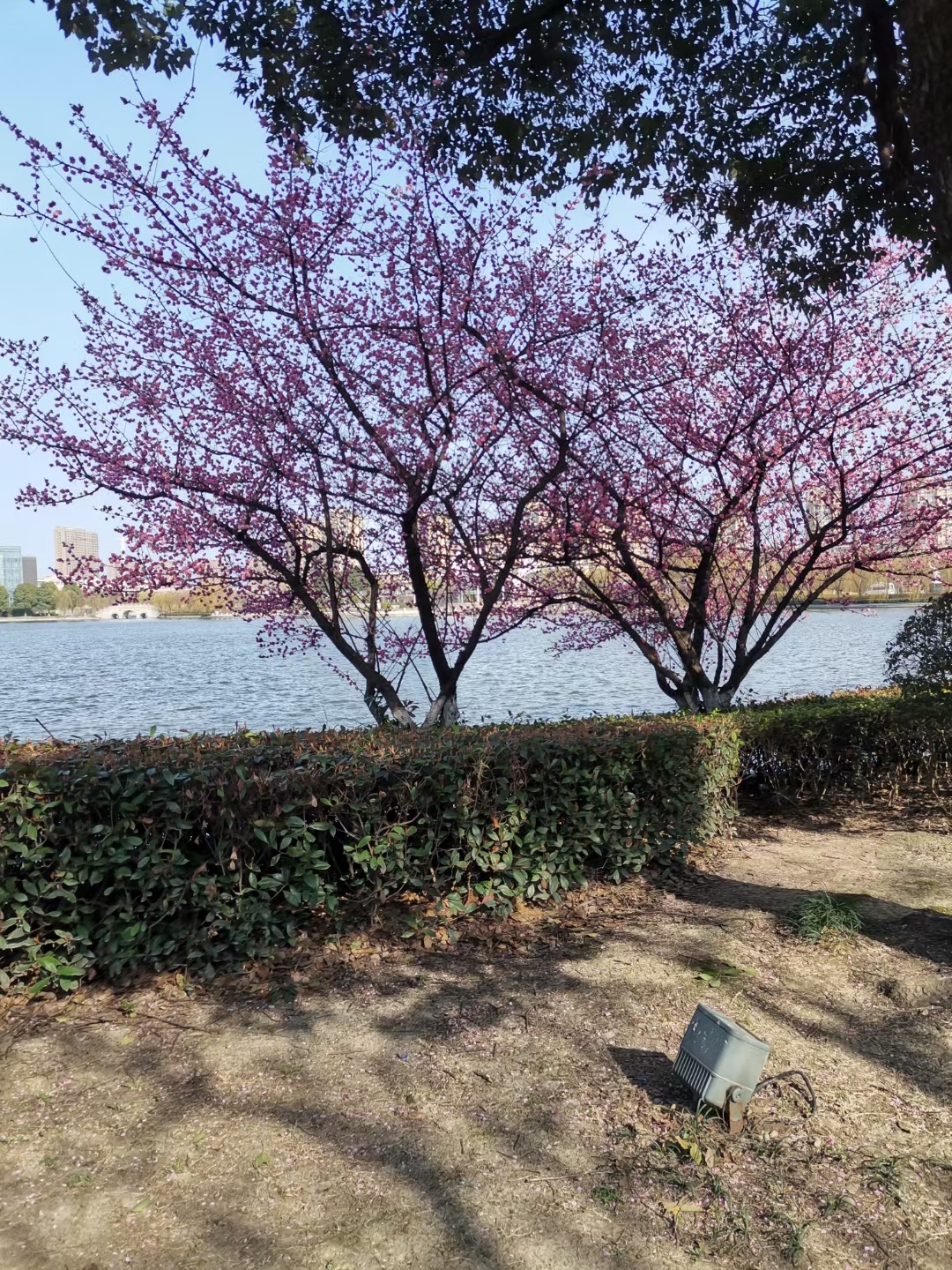 无锡玉祁唐平湖