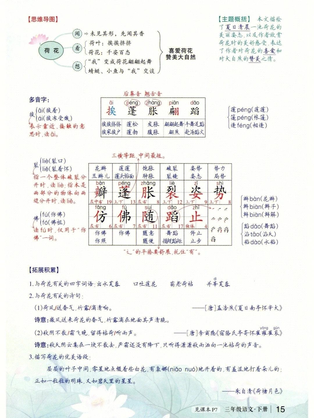 三年级语文下册第三课《荷花》课堂笔记