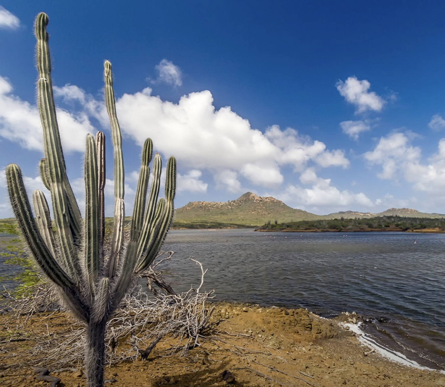 很多游客都希望在博奈尔岛"躺平".