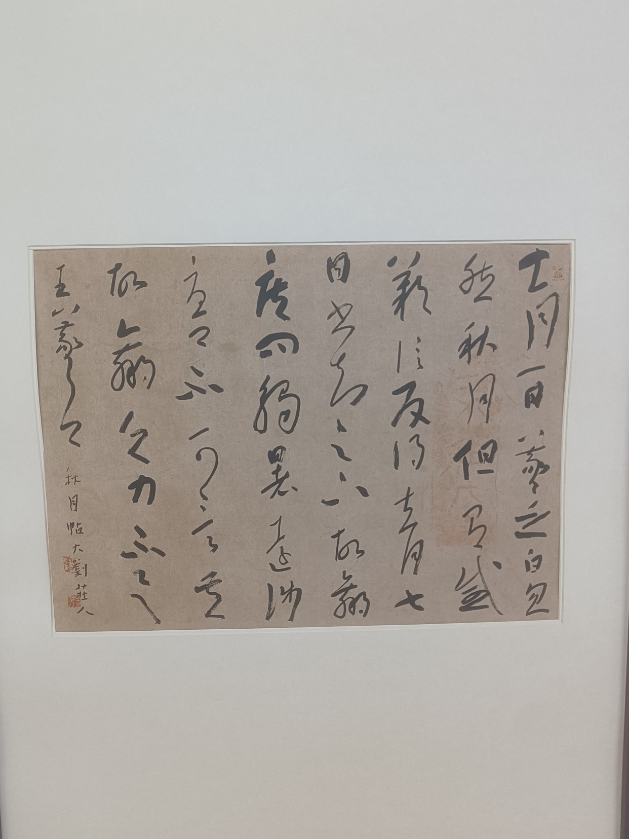 大隐隐于市—拜访刘景芳老师