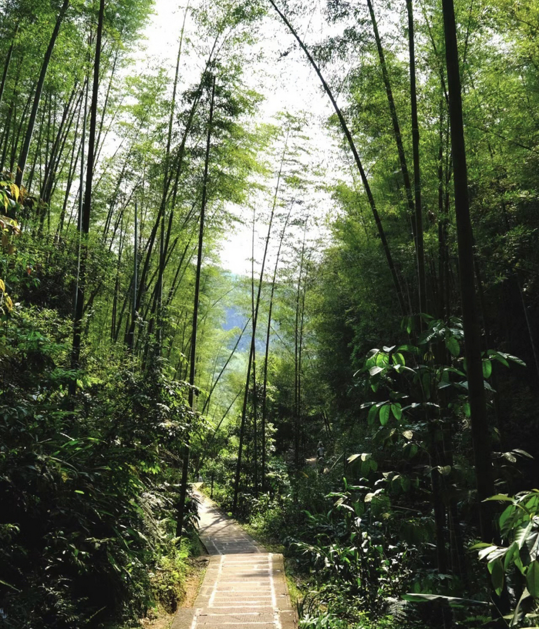 宜宾长宁旅游景点推荐图片