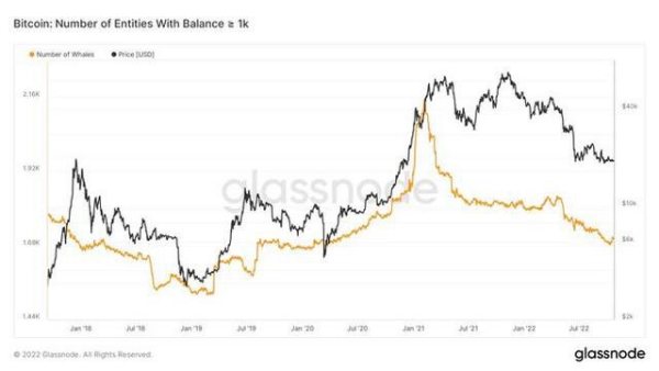 小型比特币投资者阻止鲸鱼将 BTC 价格跌破 18,000 美元