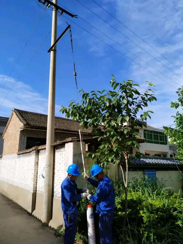 宝鸡陇县供电分公司为电杆拉线穿上"安全服"