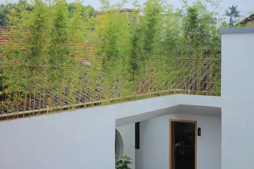 入选苏州十佳!昆山锦溪这家民宿出圈了!