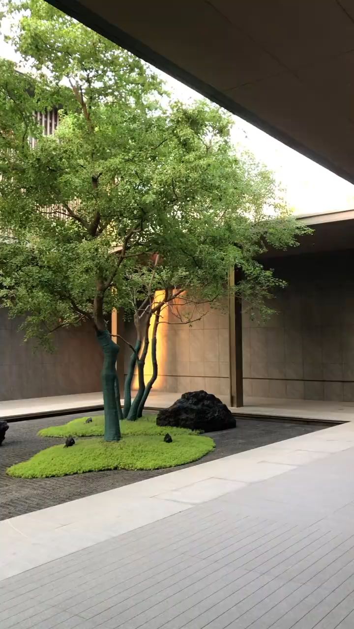 示范区微地形景观