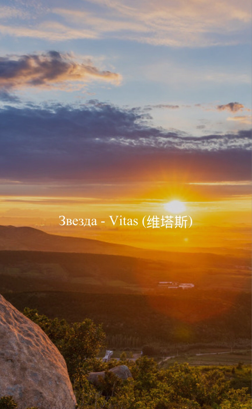 回忆青葱岁月之维塔斯《星星》