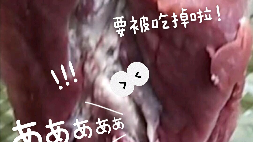 五斤四两的后腿肉来做东北传统腊肉,这种方法制作的腊肉吃不够