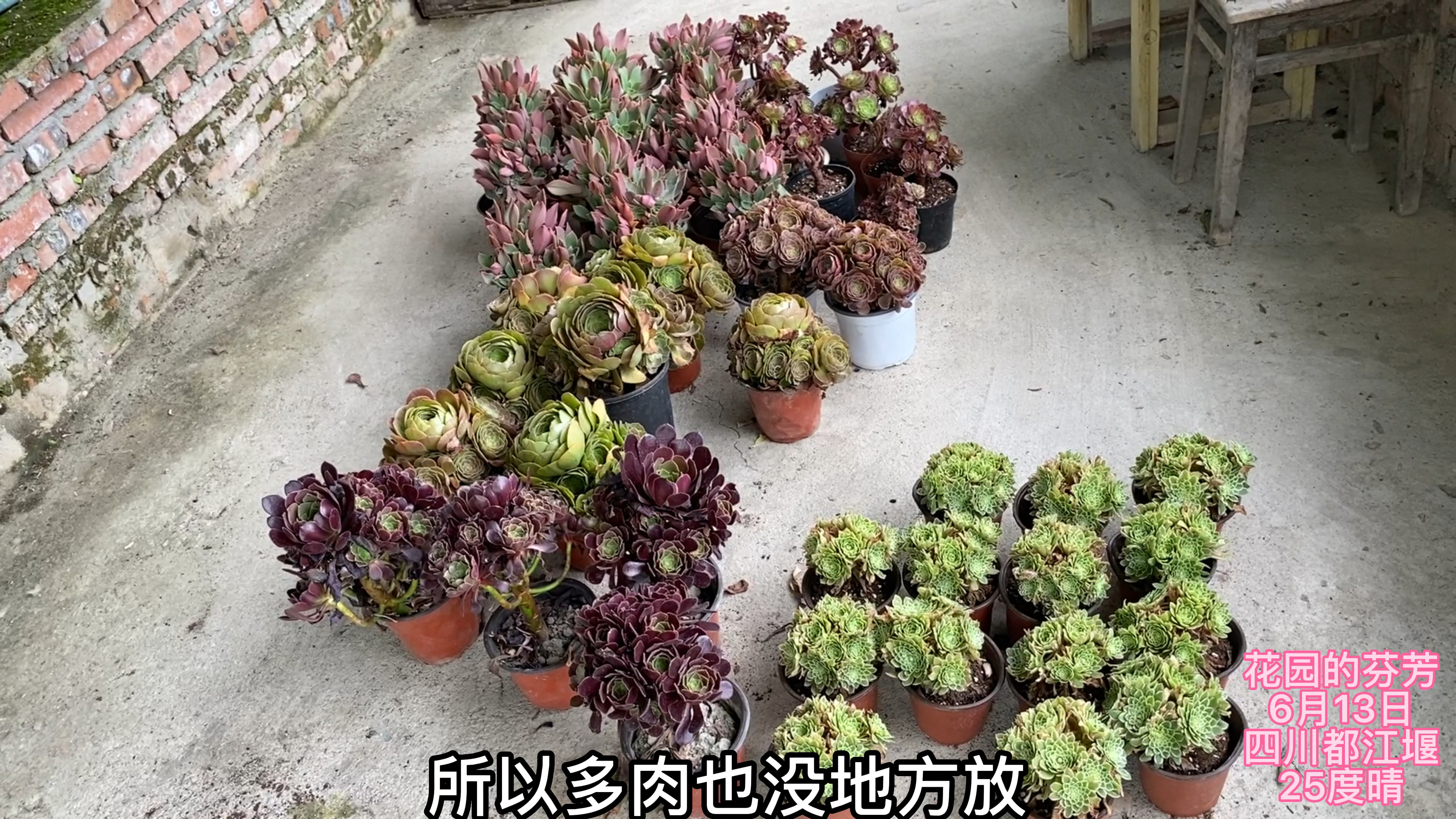 这么大的法师当套餐出,居然还有万圣节锦,太划算了!