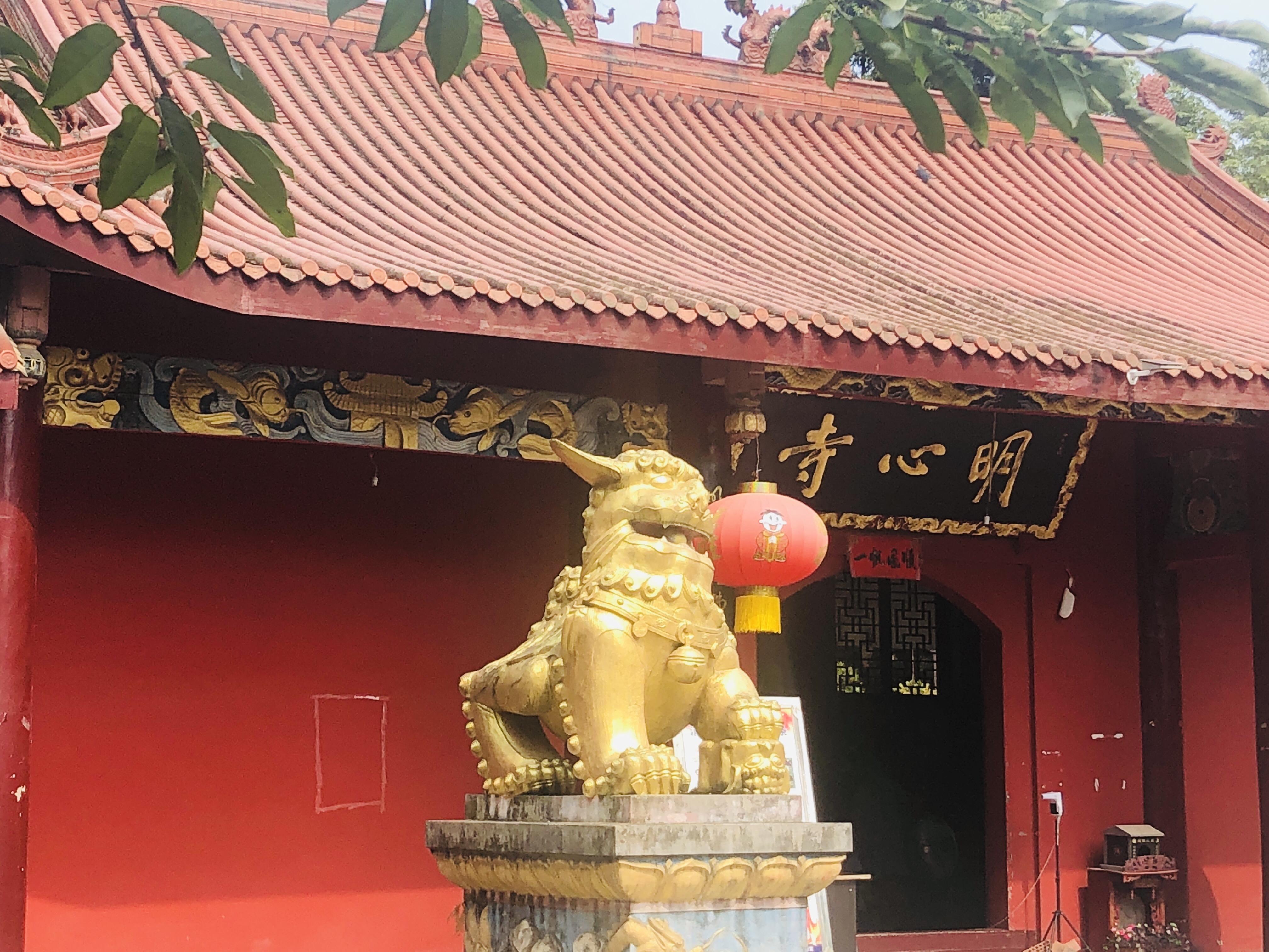 祈福明心寺,行走江安河,晚吃野菜锅