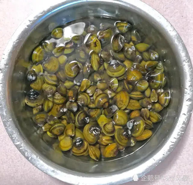 黄塘溪捞沙蛤蜊的人们