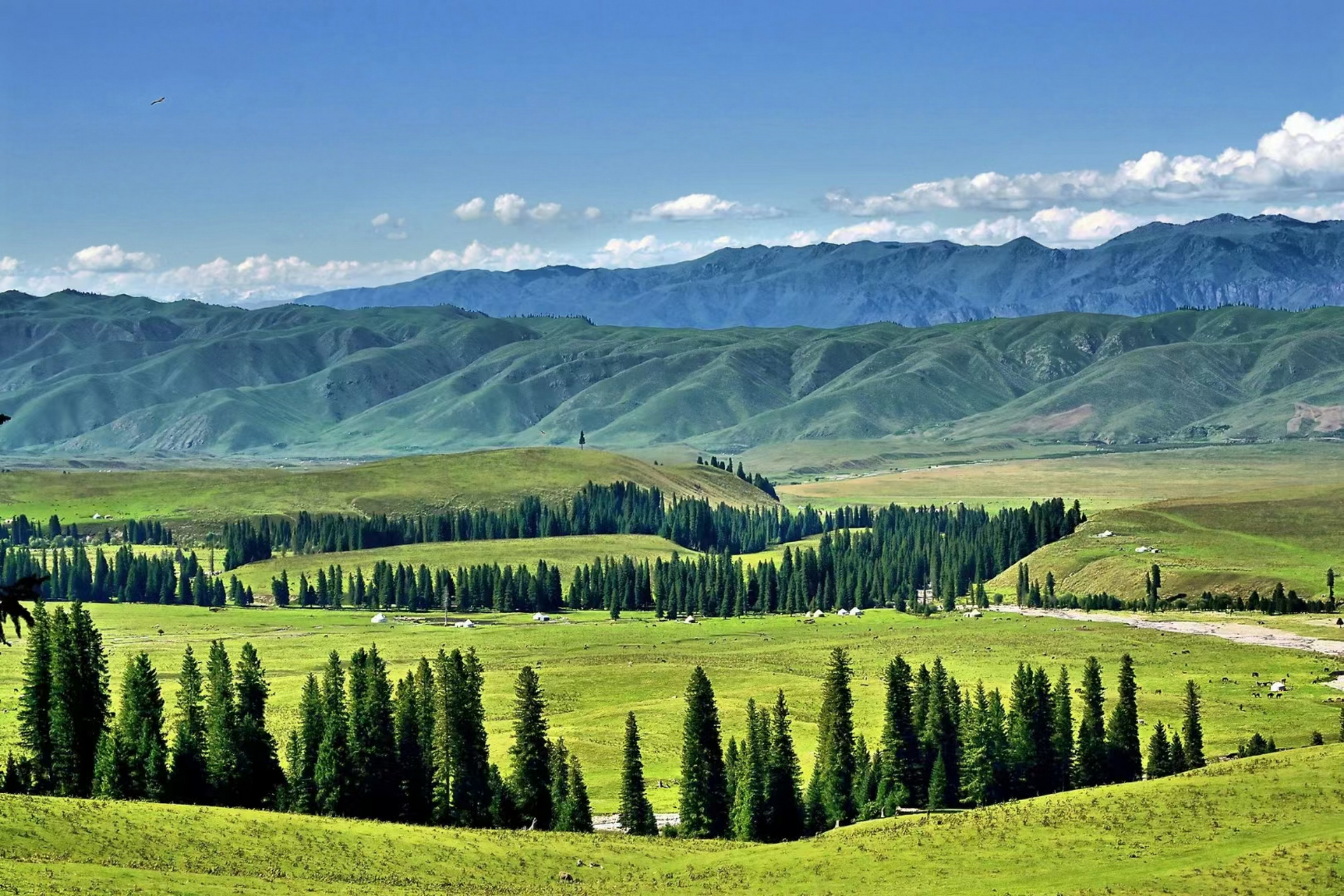 空中草原那拉提,一个被称为日不落的地方,不仅能看到雪山草原,还有