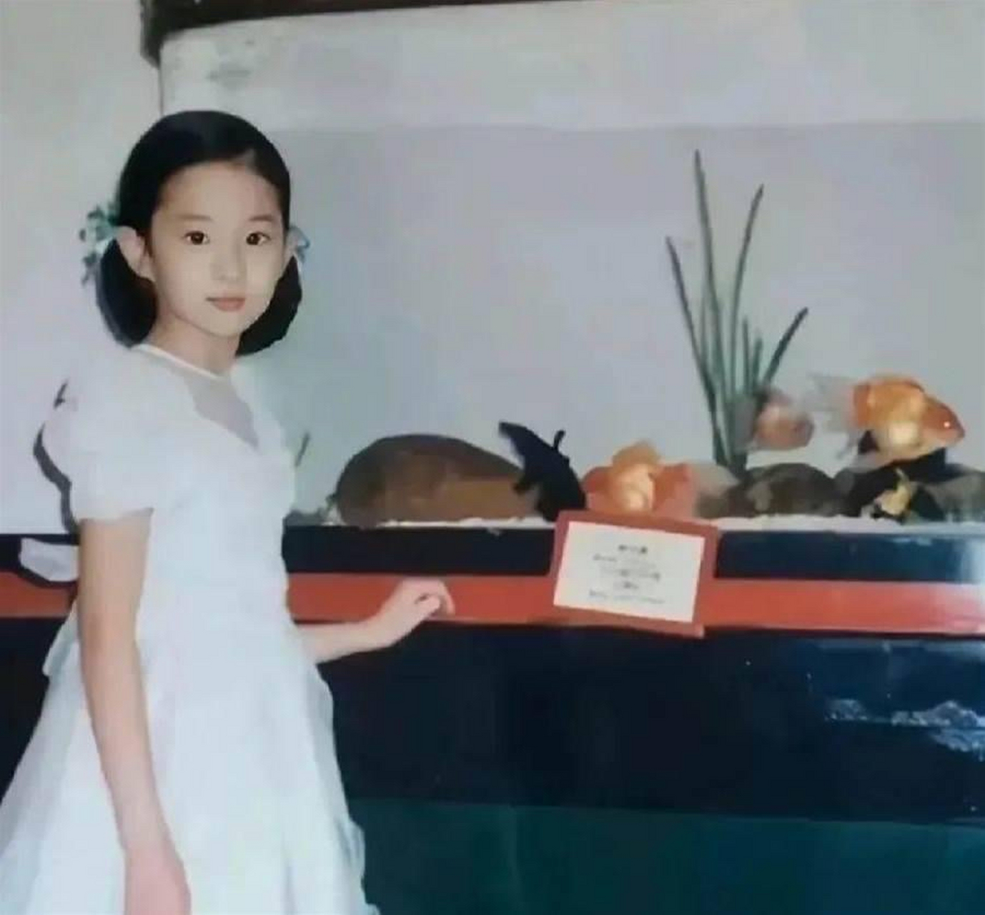 25年前的刘亦菲童年照被同学曝光,从小美到大[色]