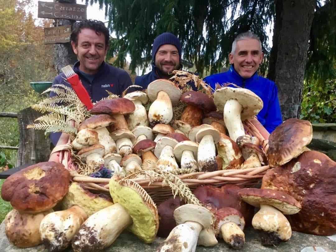 俄罗斯超级大蘑菇