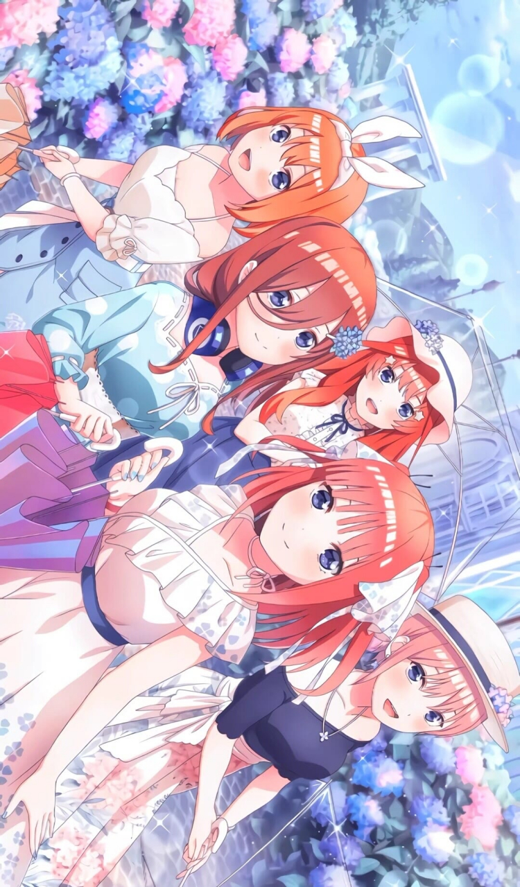 五姐妹来啦#五等分的花嫁