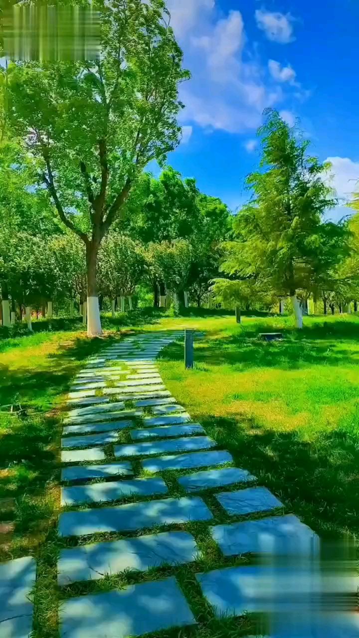 清爽的夏风,美好的时光.