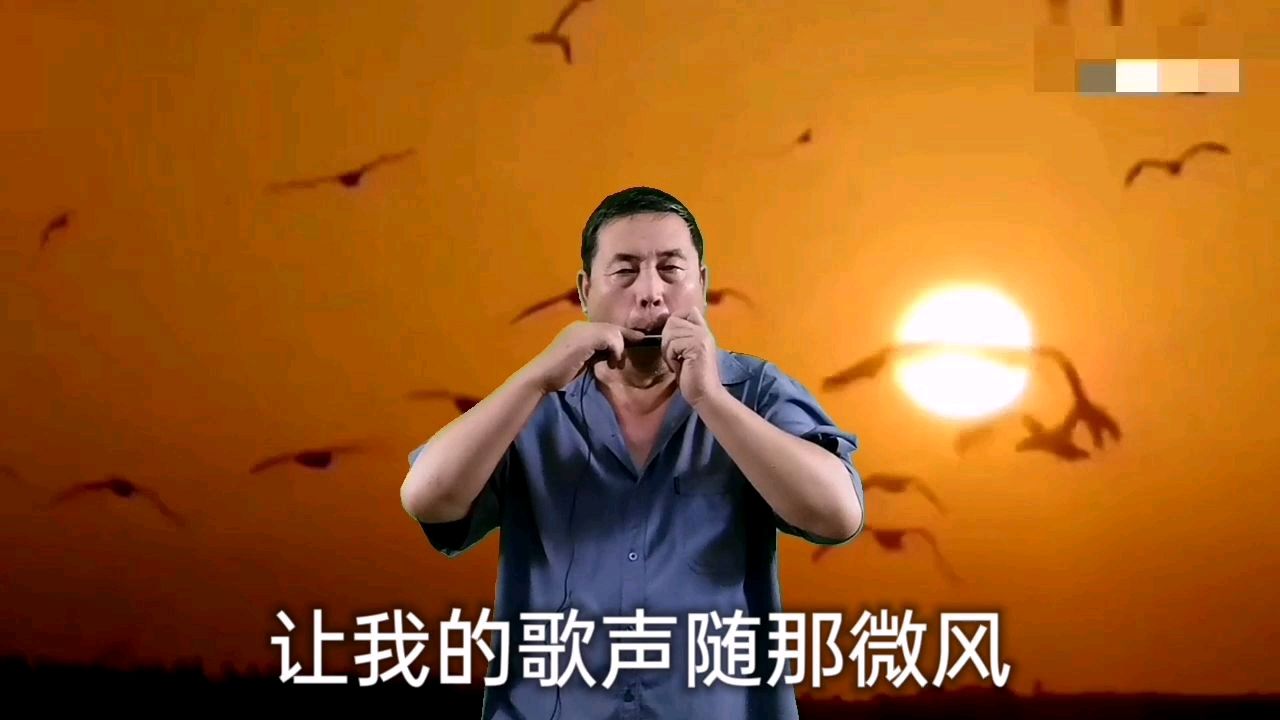 [图]口琴降B调《绿岛小夜曲》