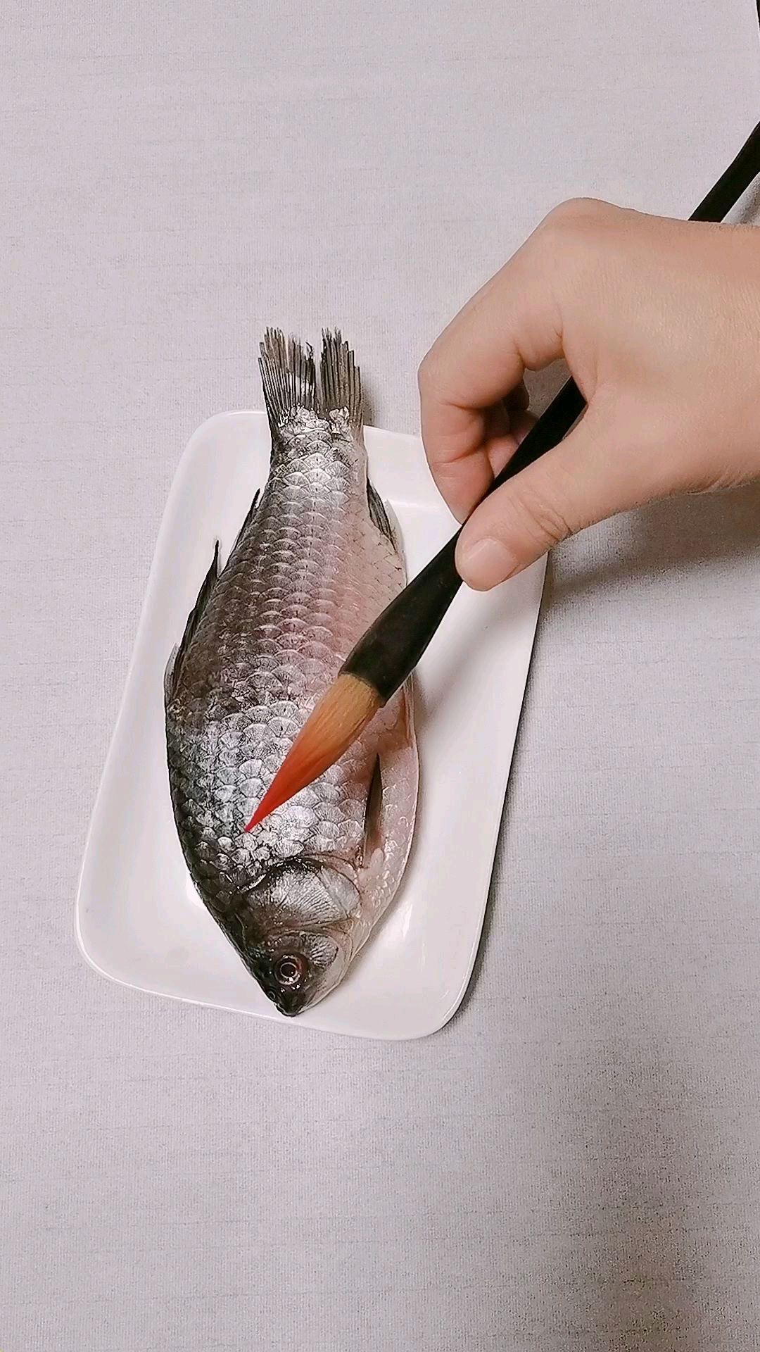 教你画鲫鱼守宽国画课堂