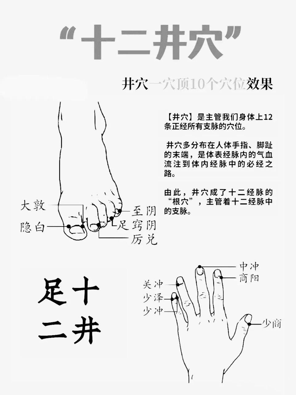 十二井穴有哪些作用,你知道吗?
