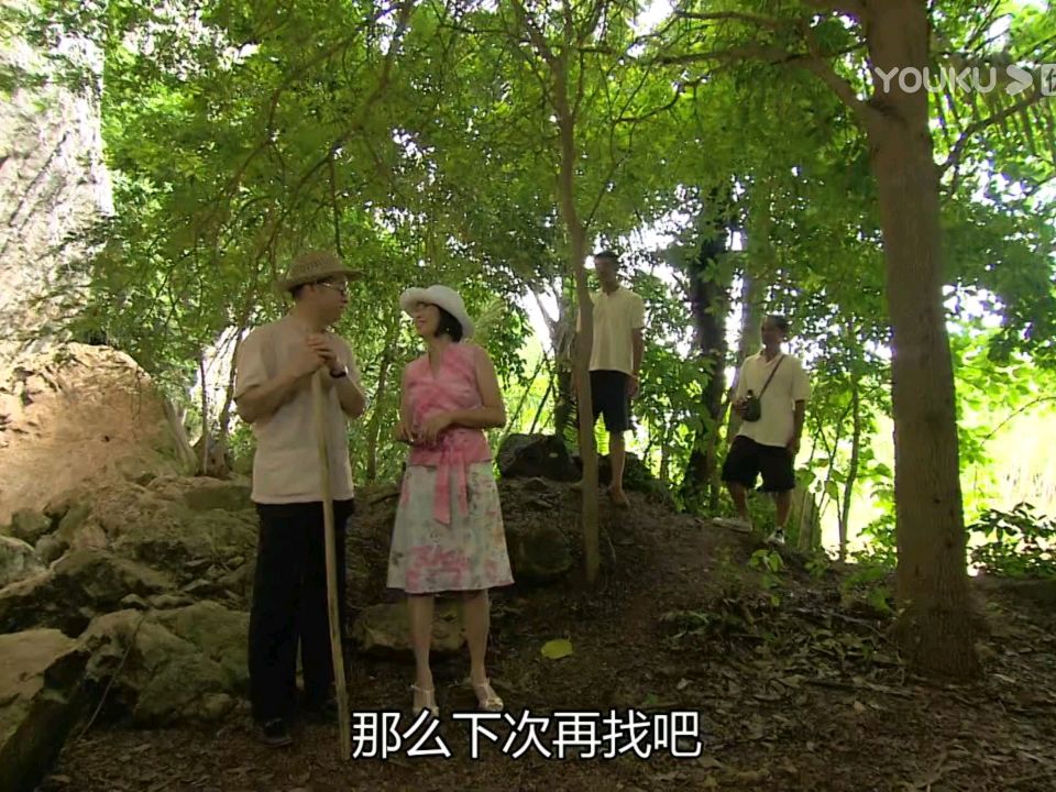 《珠光宝气》一个细节早就暗示贺峰不爱虞苇庭