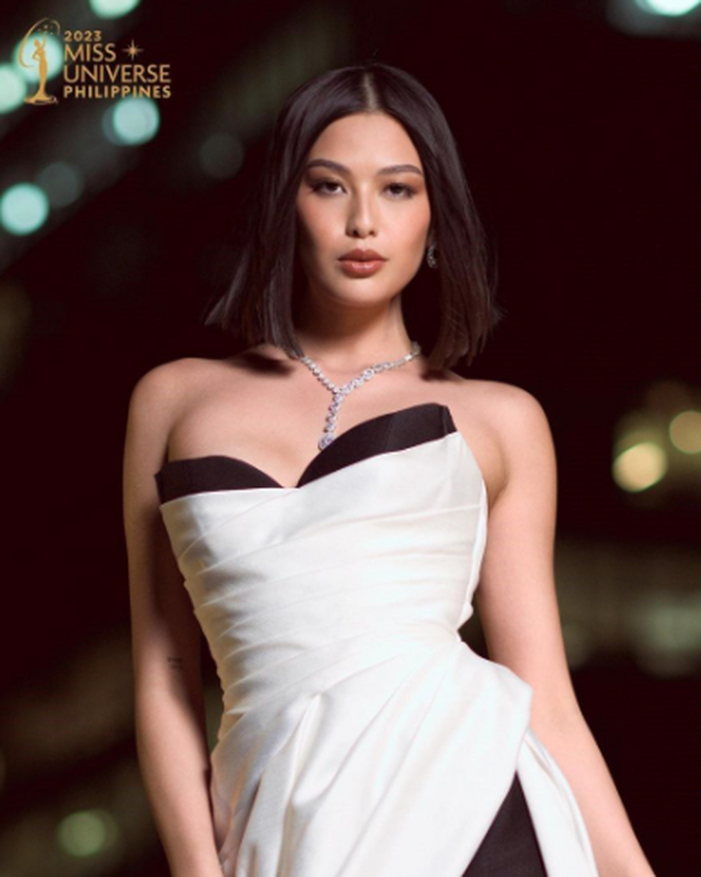 李其昌生前曾担任菲华商联总会副理事长,亦曾是中兴