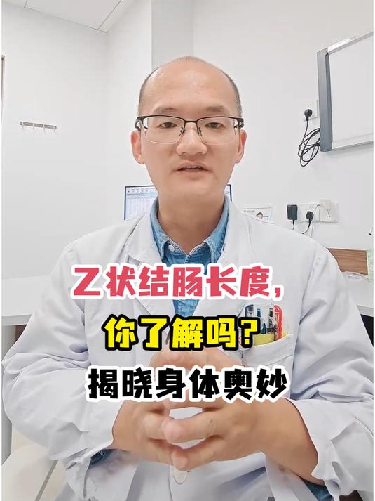 乙状结肠的作用图片