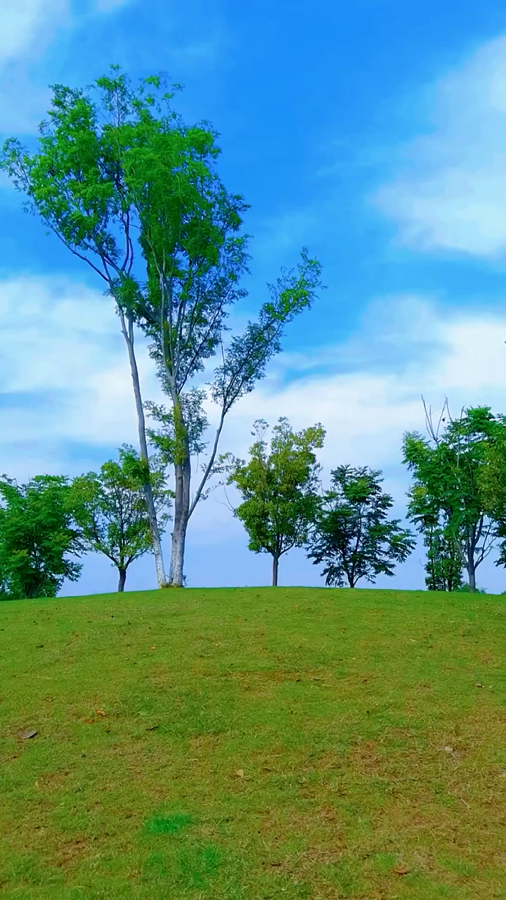 野外风景真迷人