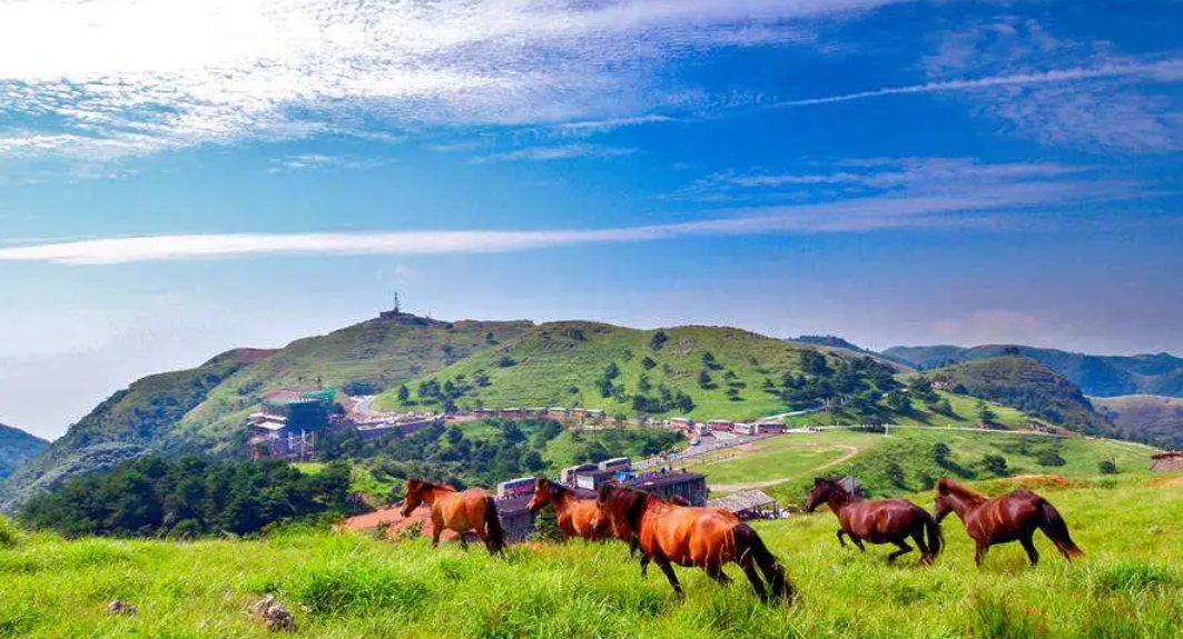《百里荒旅游度假区》旅游攻略