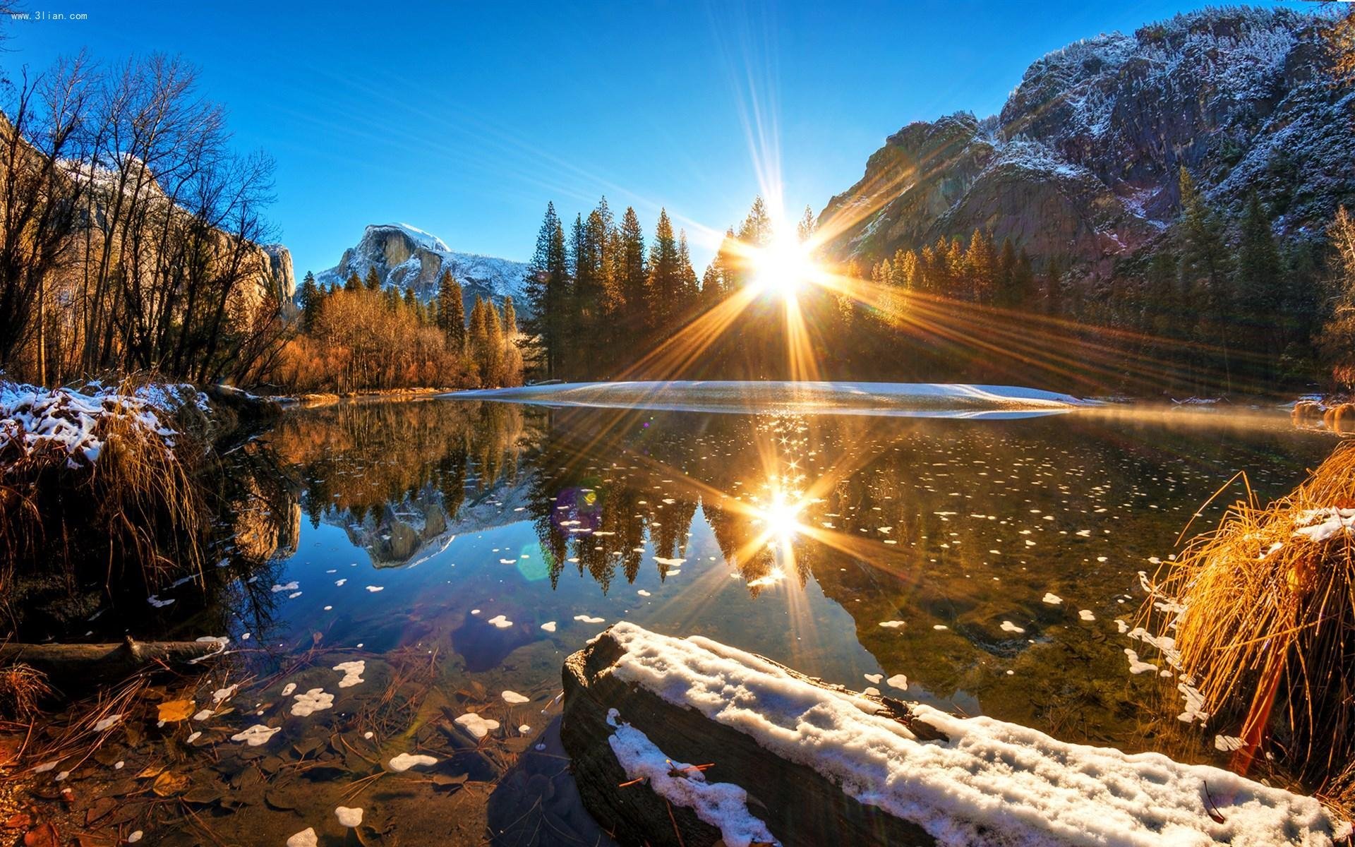 当机立断,蒸蒸日上,财运亨通,大展鹏图的4大生肖