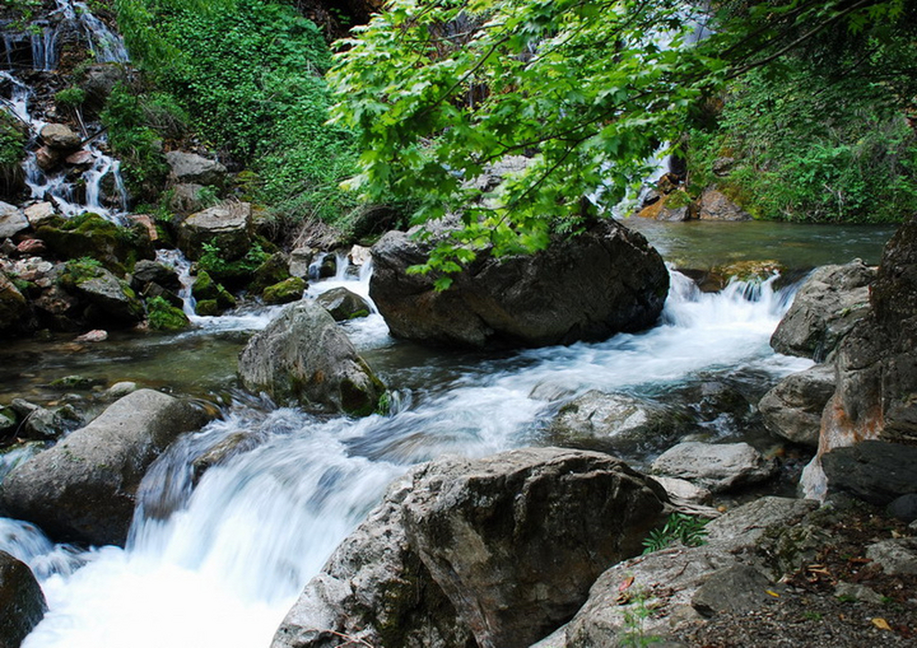 松溪河水盘山流背景图片