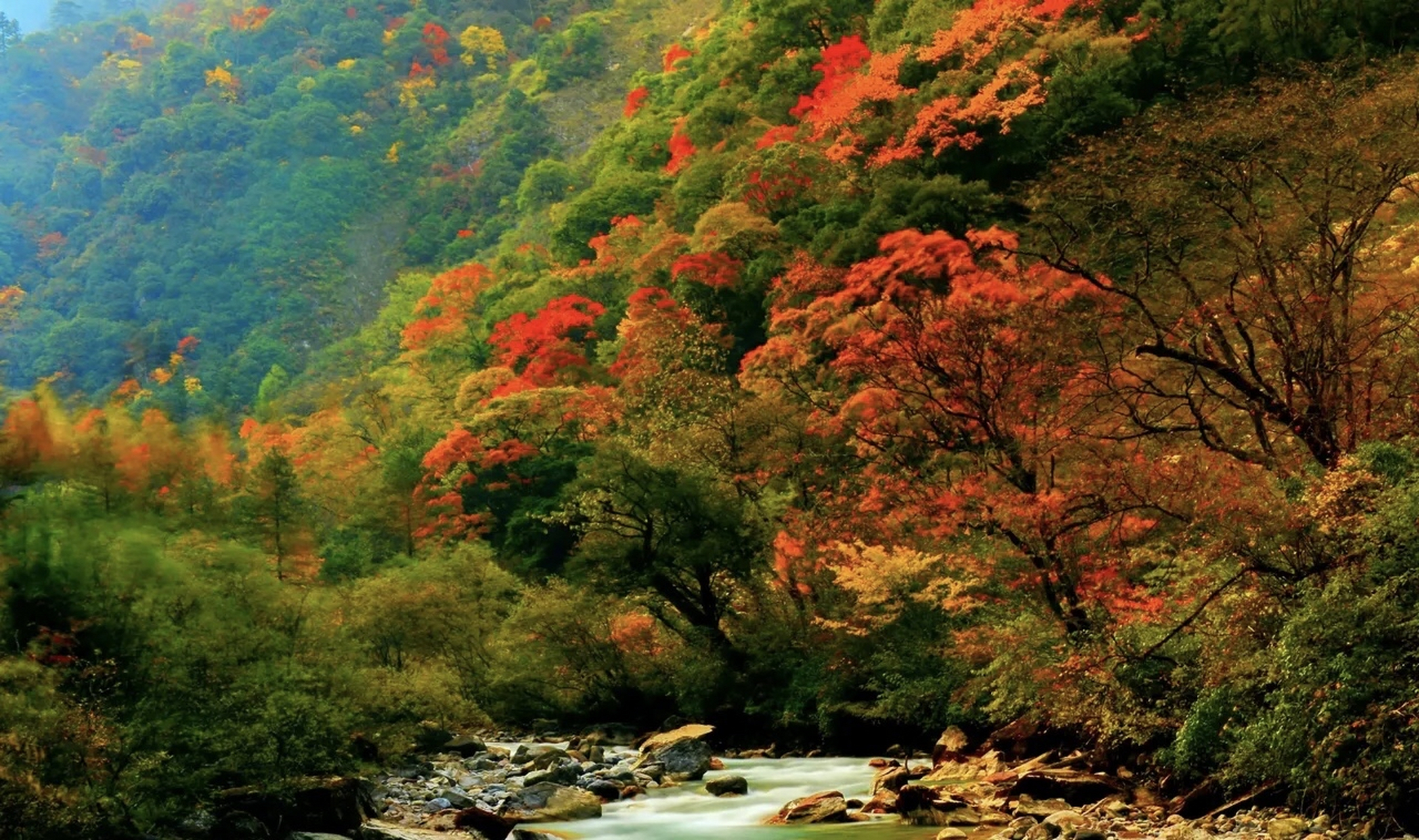 风光雄奇壮美,这个季节的川西,像一幅幅铺展开的蜀绵,更是美得绮丽