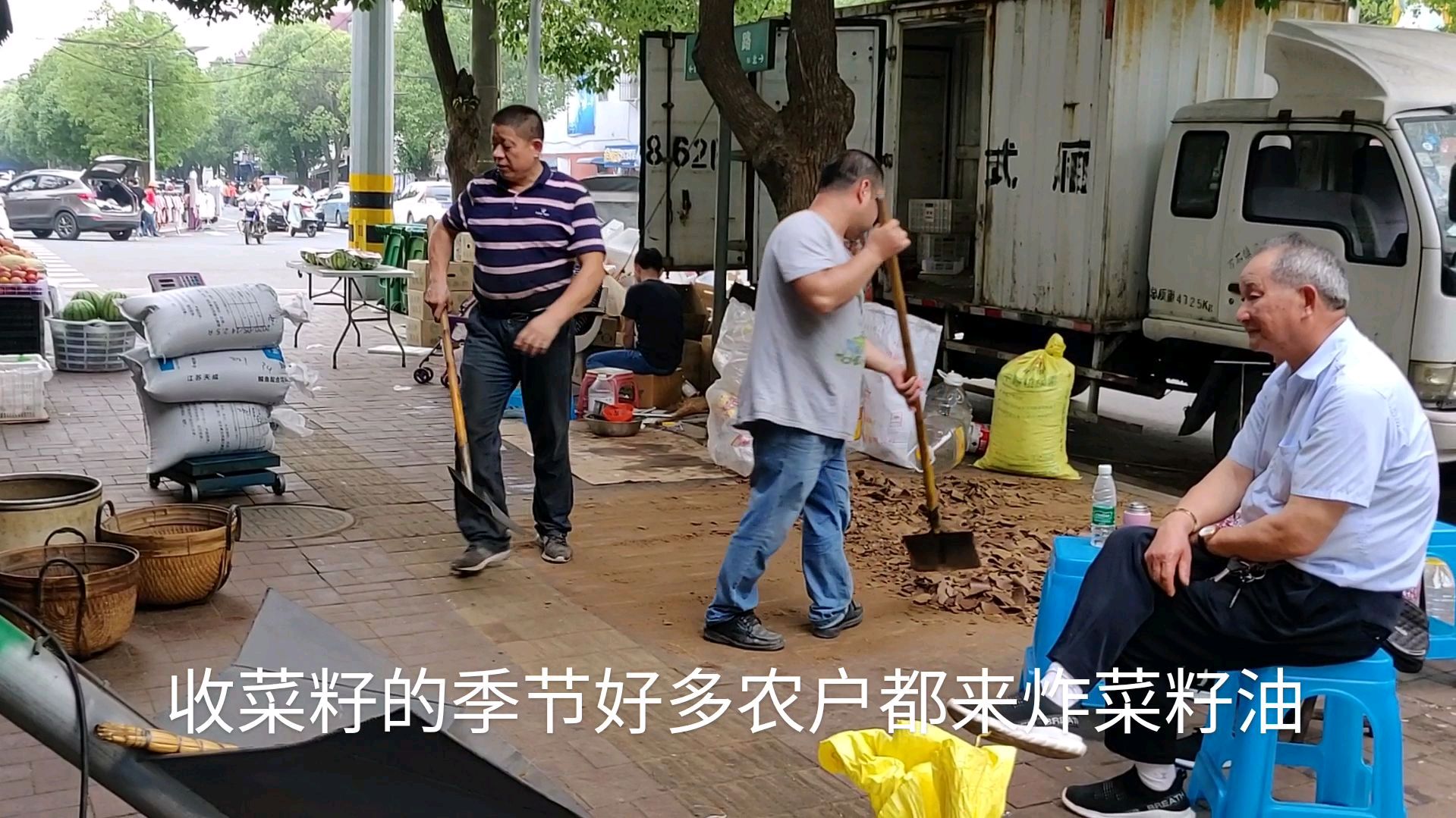 农民婶买农户的油菜籽加工菜油,都是油菜籽,为啥炸的油不一样