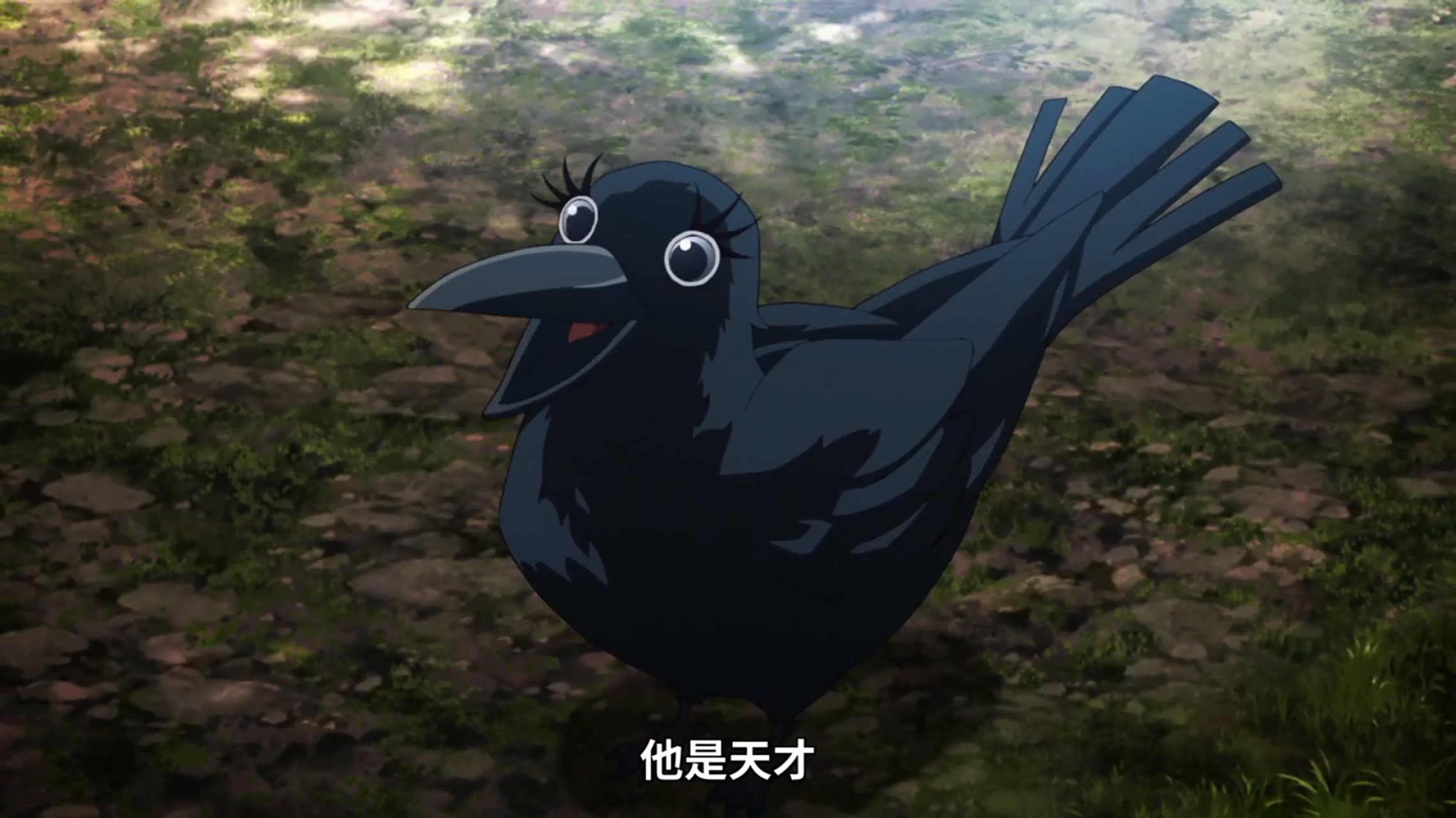 时透无一郎的鎹鸦竟然长的眉清目秀的,放在鎹鸦群里是不是类似白富美