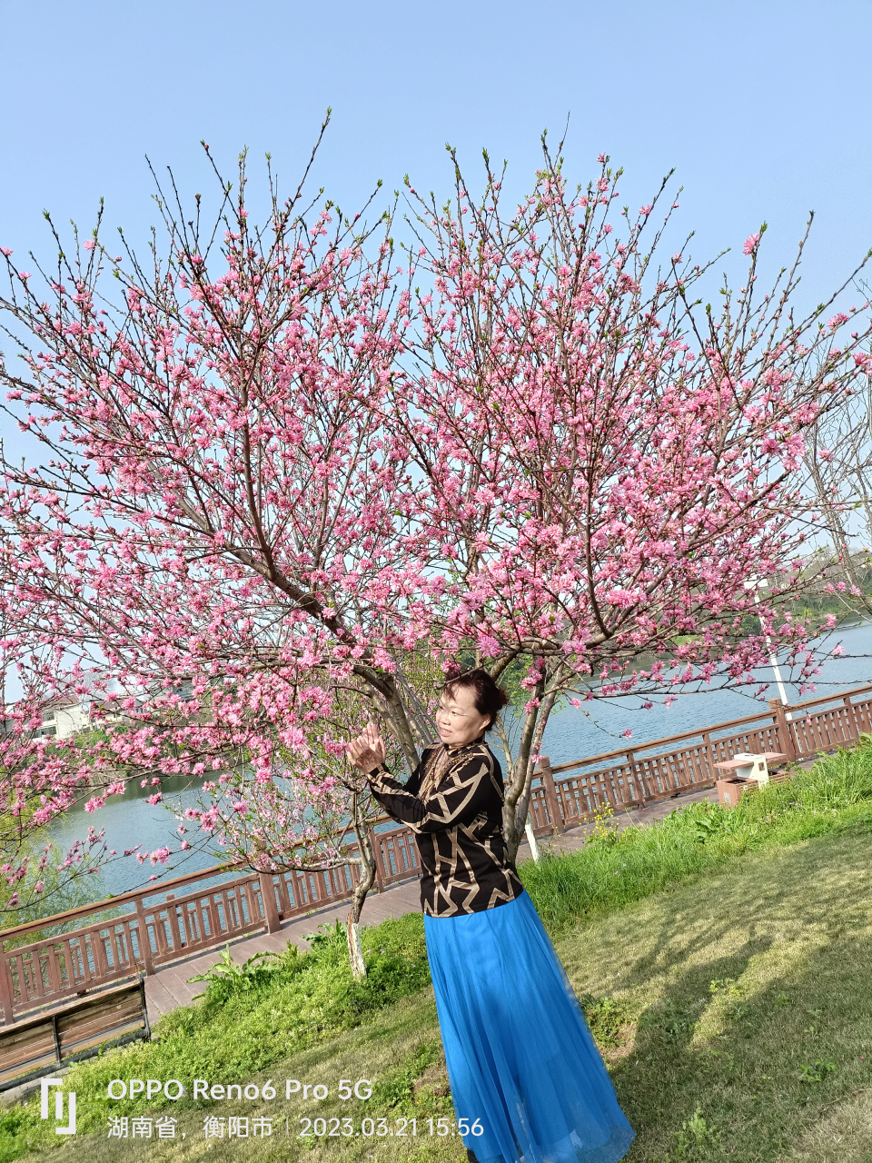 养眼美女# 与桃花94