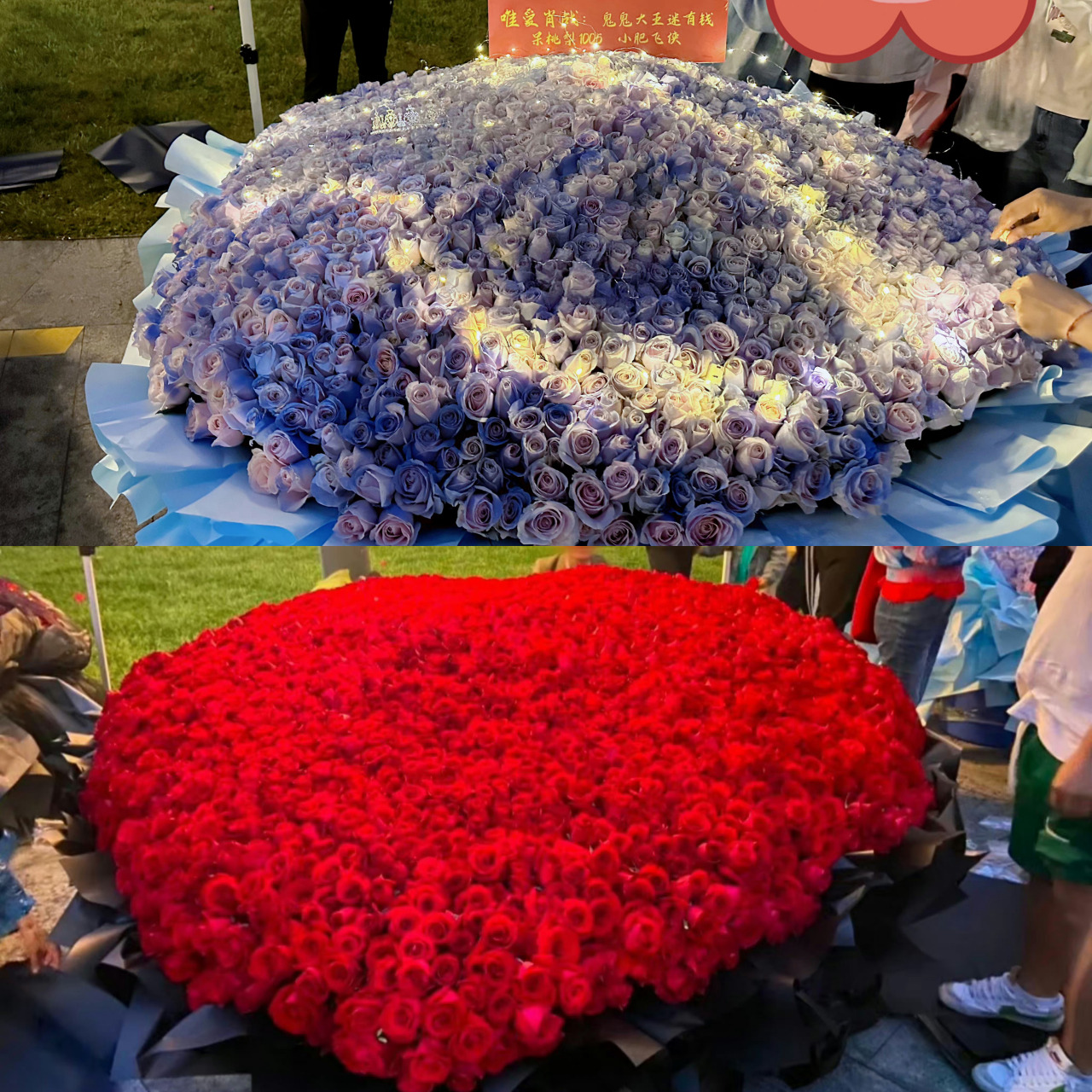 肖战如梦之梦西安站的花墙#  追肖战之后不好找男朋友的原因又多烈换