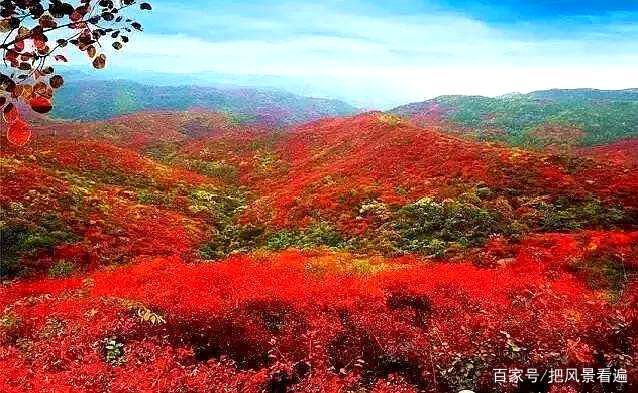 陕西也有一个香山?名气不大但是风景同样如画