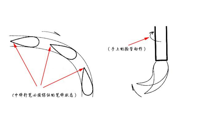 "捻管"还是"运腕",这是书法学习的关键问题