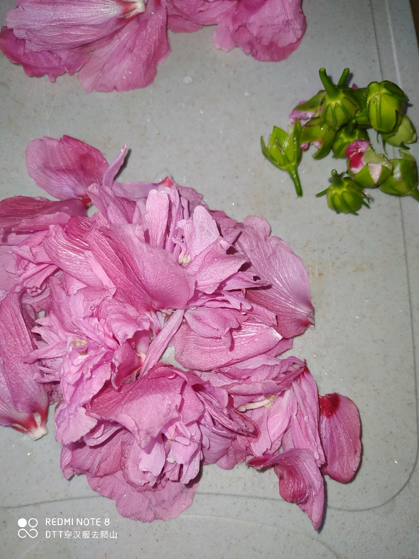 美味野菜之56 鸡肉花