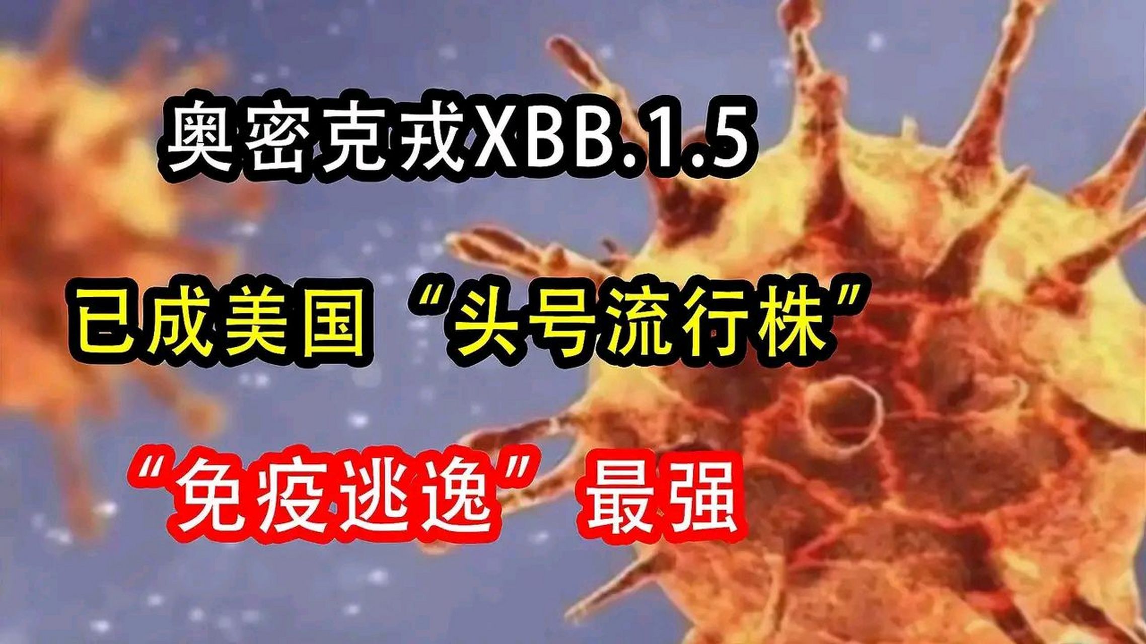 地狱犬病毒登陆美国,国人又开始纷纷囤药,结果蒙脱石散,整肠生,诺氟