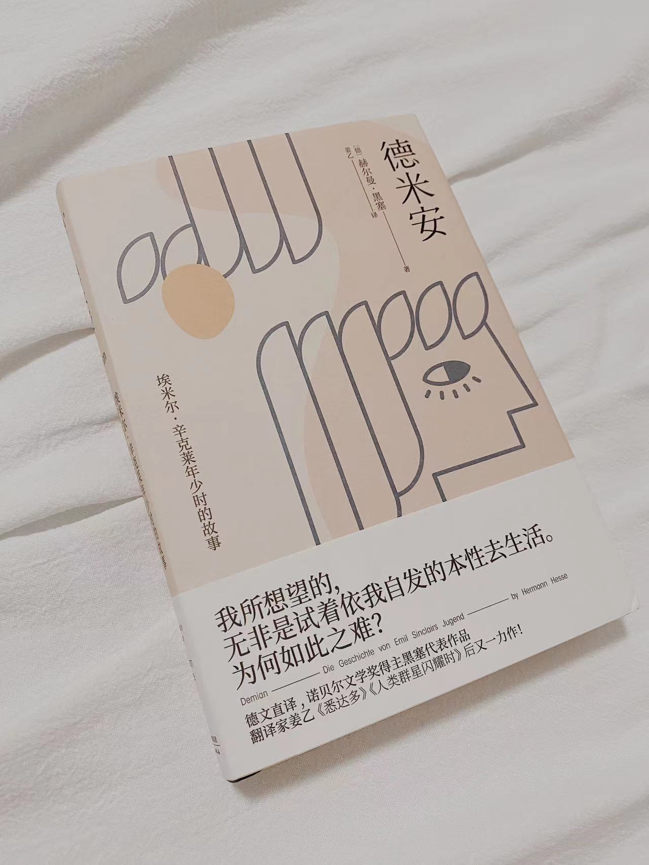 里面主要讲的是埃米尔·辛克莱年少时的故事