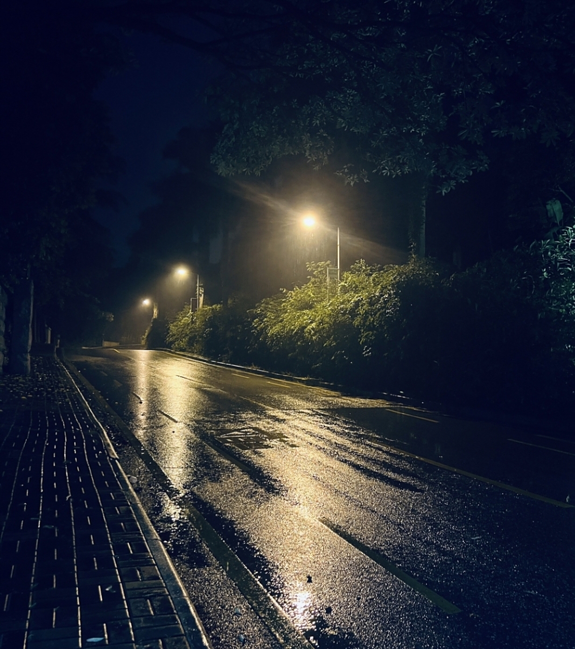 一个人过生日,一个人许愿,一个人走夜路