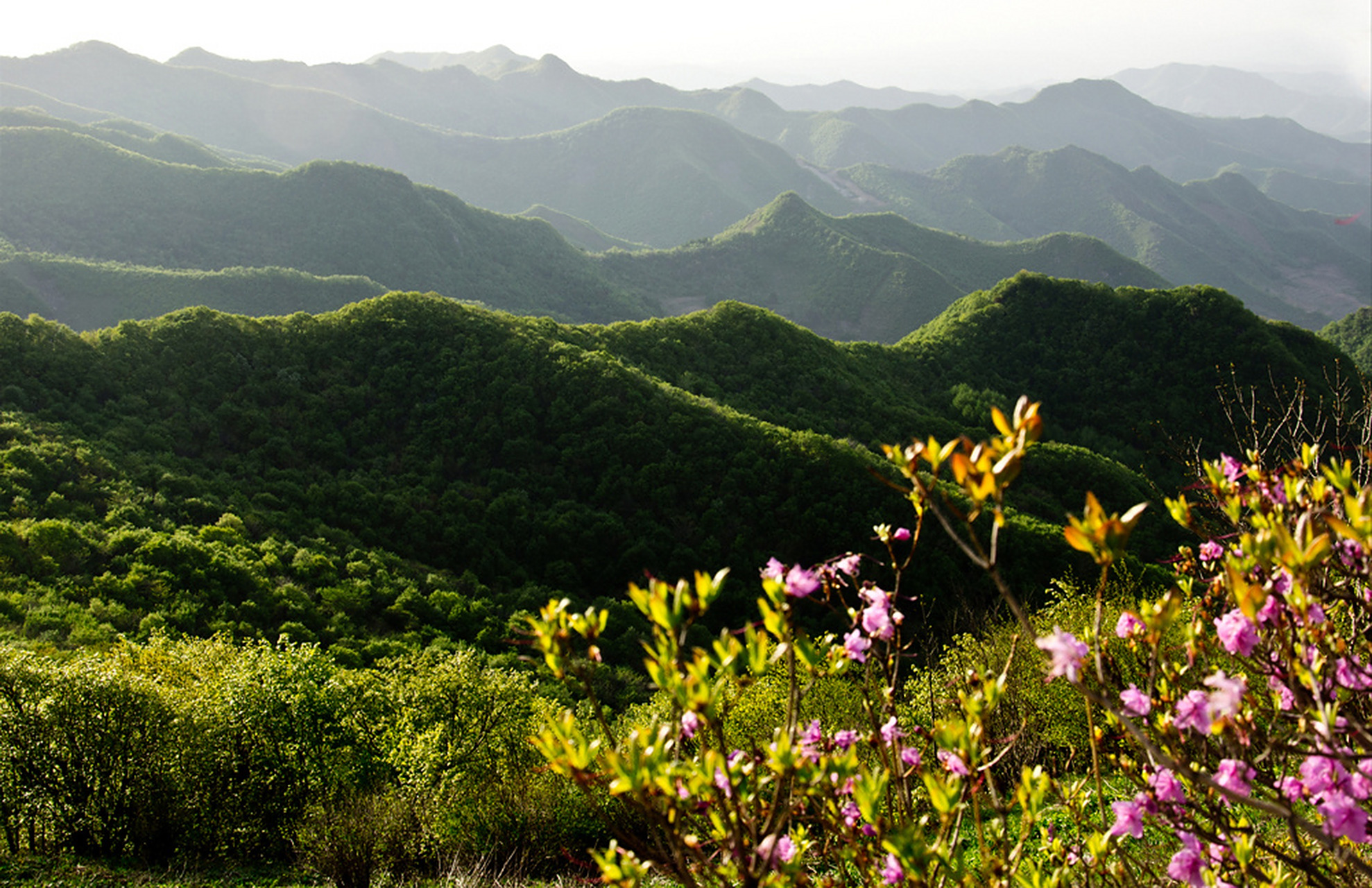 辽宁杠杠滴# #贯彻二十大辽宁在行动# #美好辽宁欢迎您# 黄丫口风光