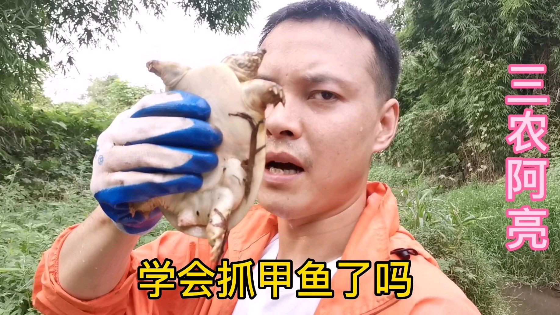 农村小伙子在河边抓甲鱼,可以这样抓甲鱼,方法很简单
