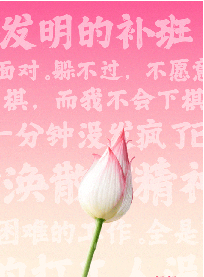 奈雪的茶|我想开了!喝一朵莲,一切随缘!