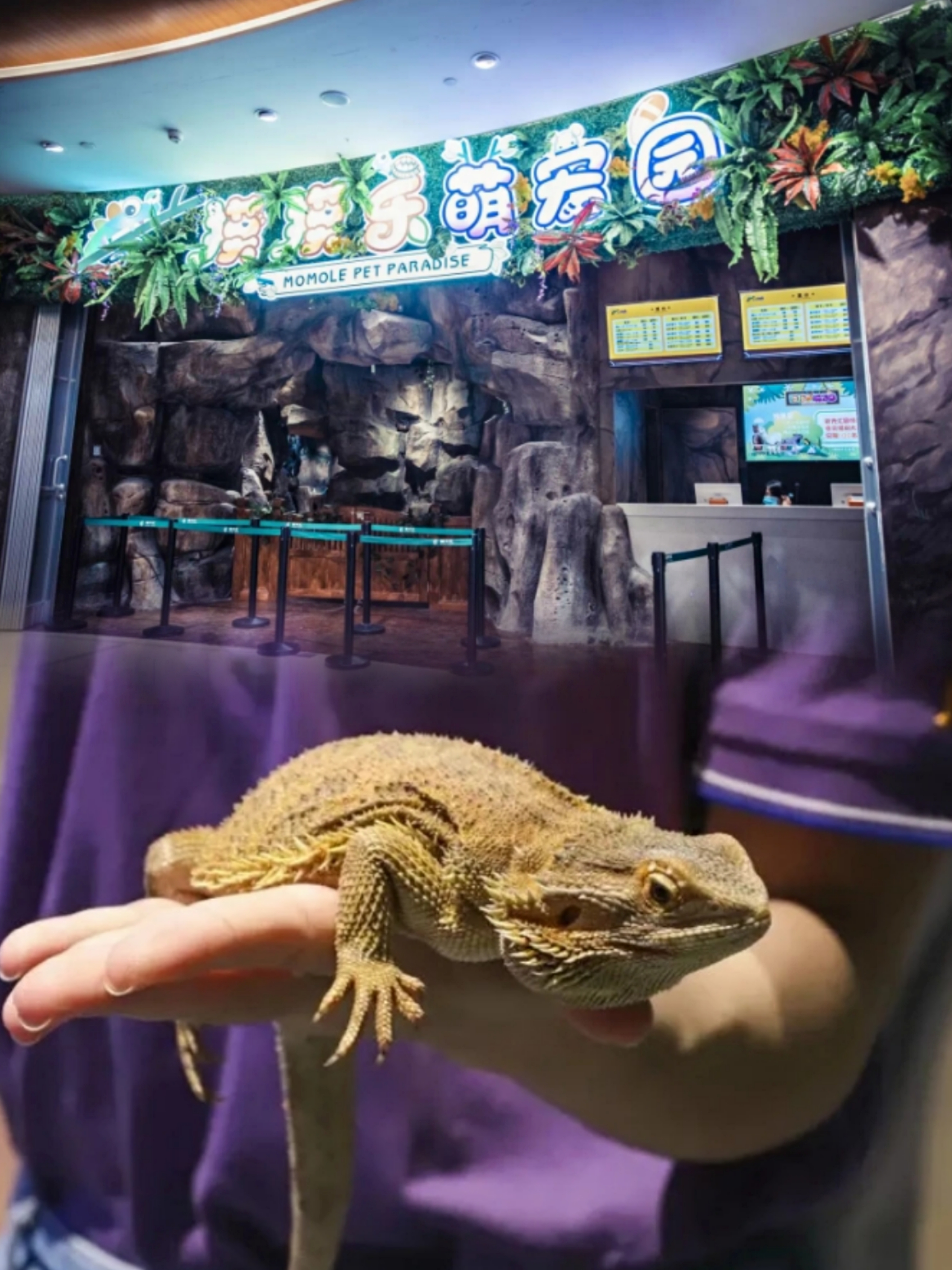 义乌亲子游|摸摸乐萌宠园~喂鹦鹉和小兔叽