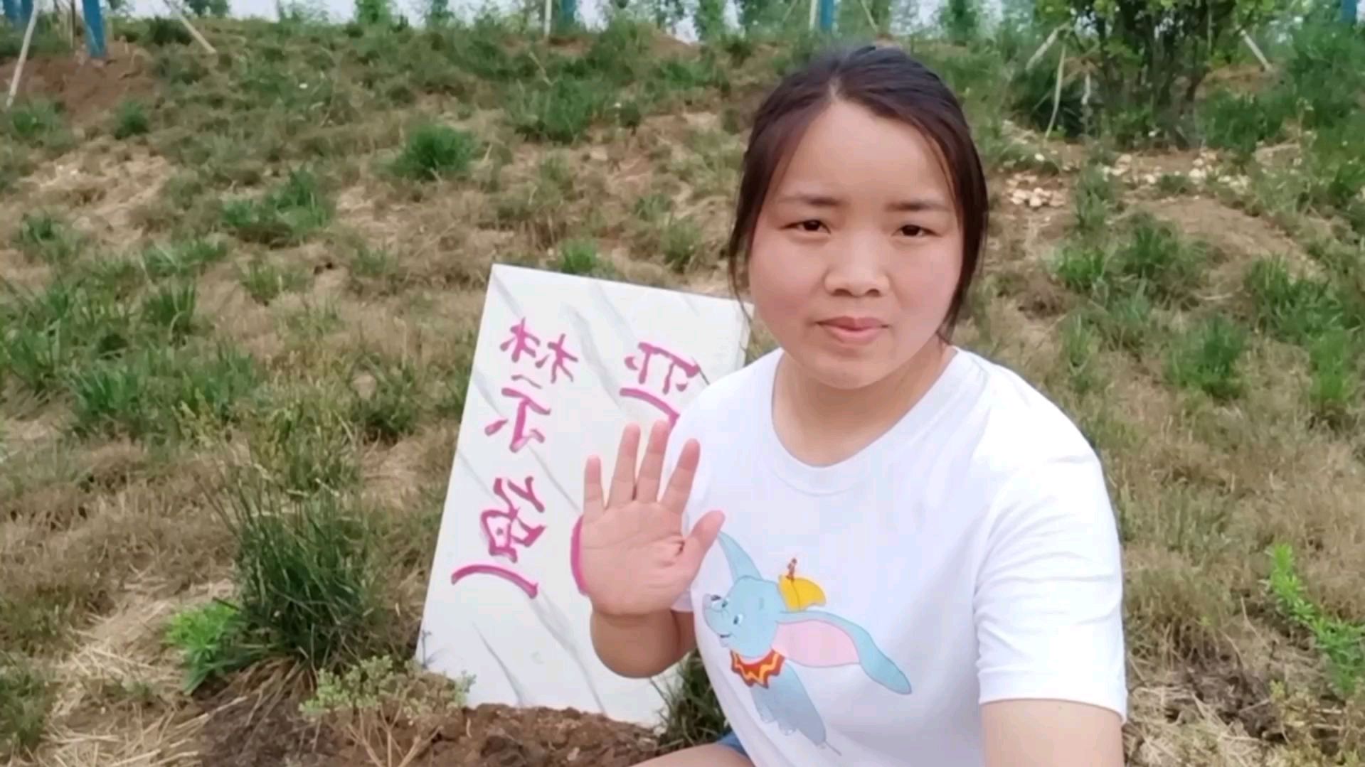 就这样的鱼塘,还写着严禁钓鱼,是不是侮辱了钓鱼人的智商