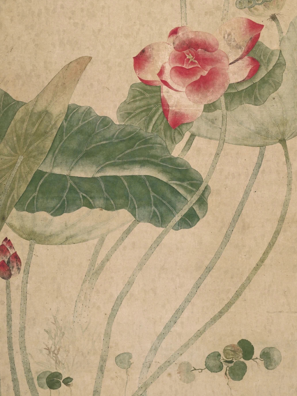 清 恽冰 蒲塘秋艳图  纸本设色 127.7×56.